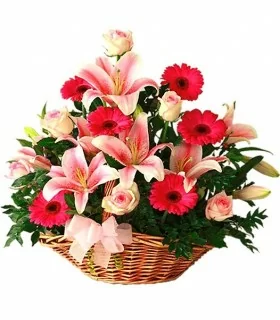 Canasta 6 Rosas Rosadas, 6 Liliums Rosados y 6 Gerberas Rosadas