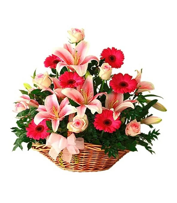 Canasta 6 Rosas Rosadas, 6 Liliums Rosados y 6 Gerberas Rosadas
