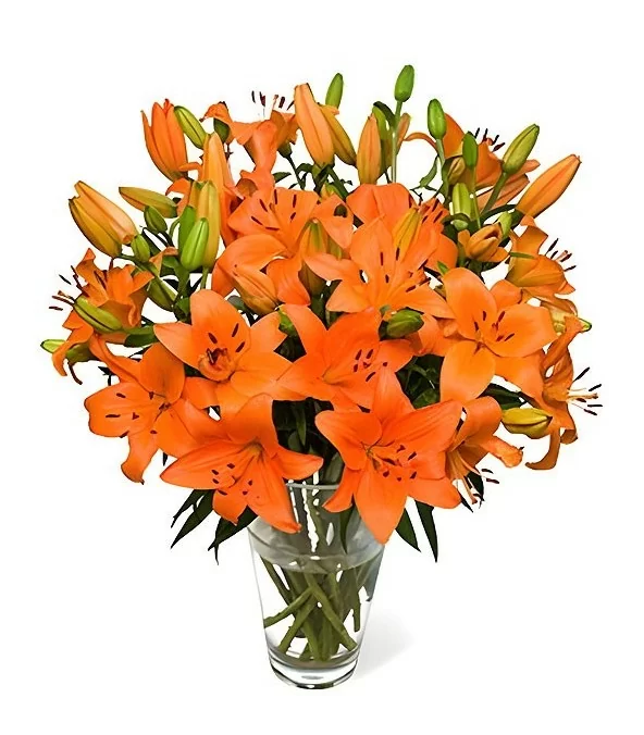 Florero de Vidrio 15 Varas de Liliums