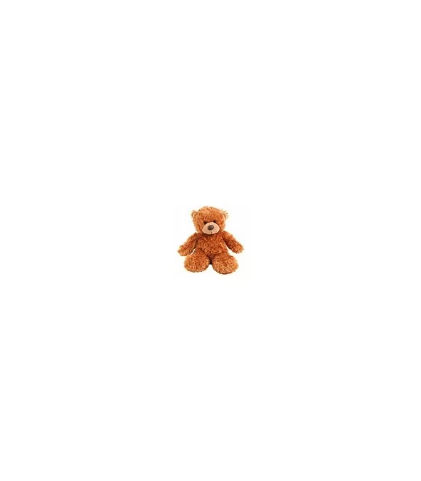 Osito de Peluche