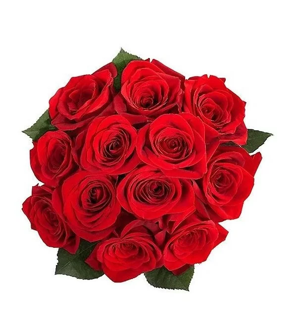 Ramo de 12 Rosas