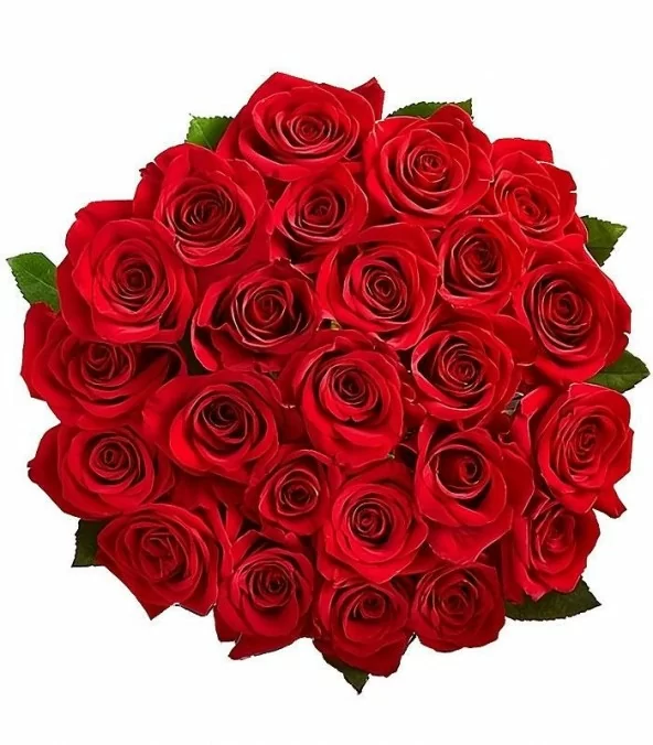 Ramo 24 Rosas