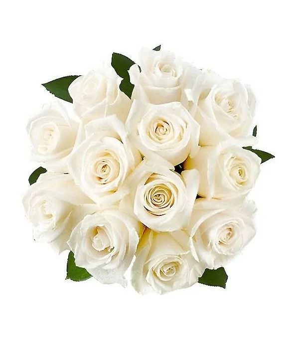 Ramo 12 Rosas Blancas