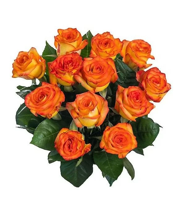 Ramo 12 Rosas Naranjas