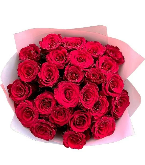 Ramo de 25 Rosas Rojas