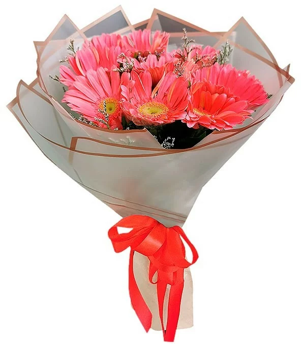 Ramo con 10 Gerberas Rosadas