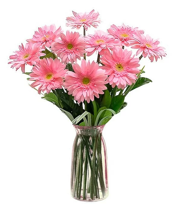 Florero con 10 Gerberas Rosadas