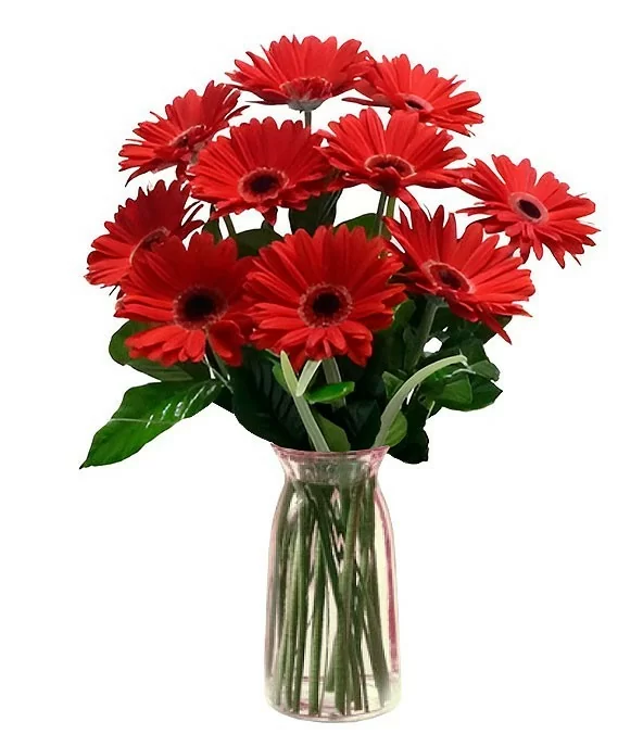Florero con 10 Gerberas Rojas