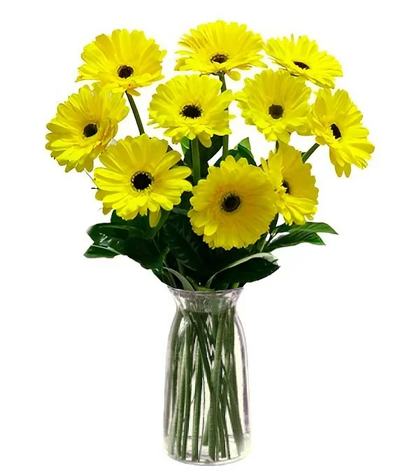Florero con 10 Gerberas Amarillas