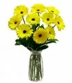 Florero con 10 Gerberas Amarillas