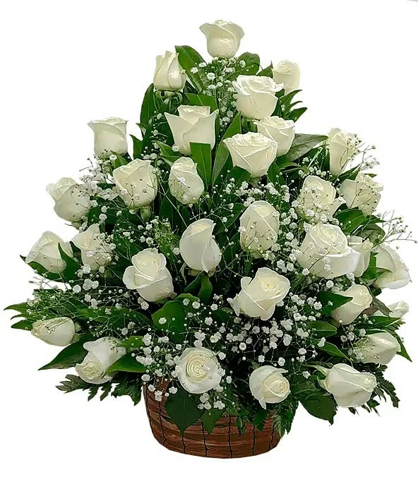 Canasta 36 Rosas