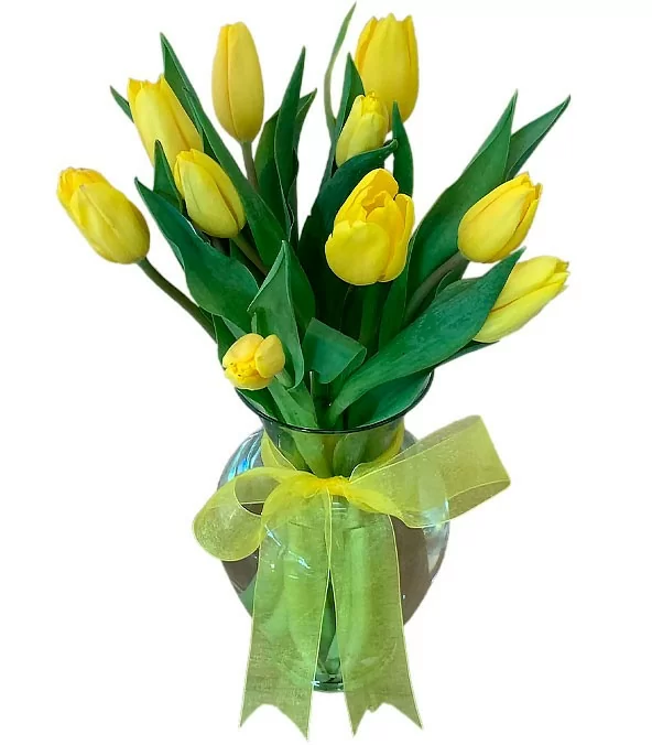 Florero 10 Tulipanes Amarillos