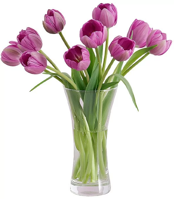 Florero con 10 Tulipanes Morados