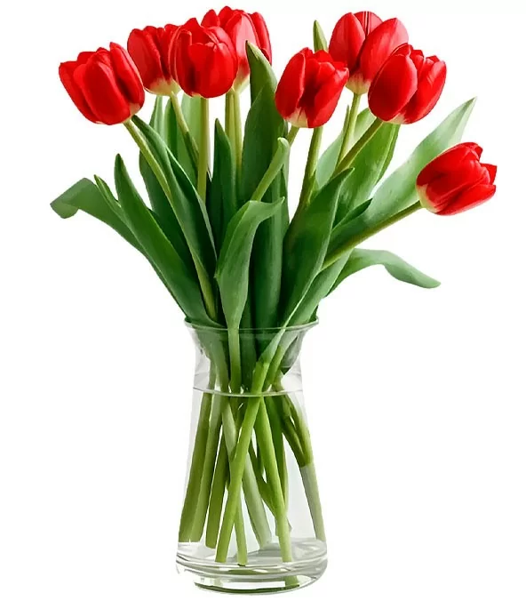 Florero con 10 Tulipanes Rojos