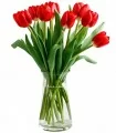 Florero con 10 Tulipanes Rojos