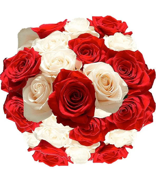 Ramo 24 Rosas Rojas y Blancas