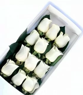 Docenas de rosas blancas en caja