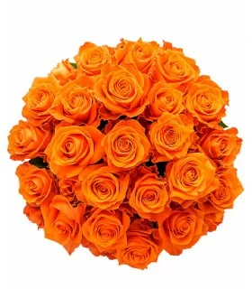 Ramo 24 Rosas Naranjas