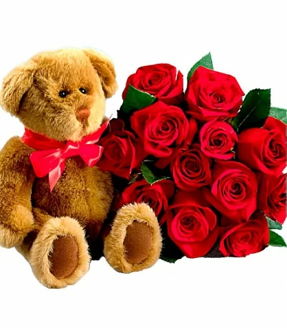 Ramo 12 Rosas con Oso de Peluche