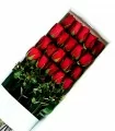 Caja 20 Rosas