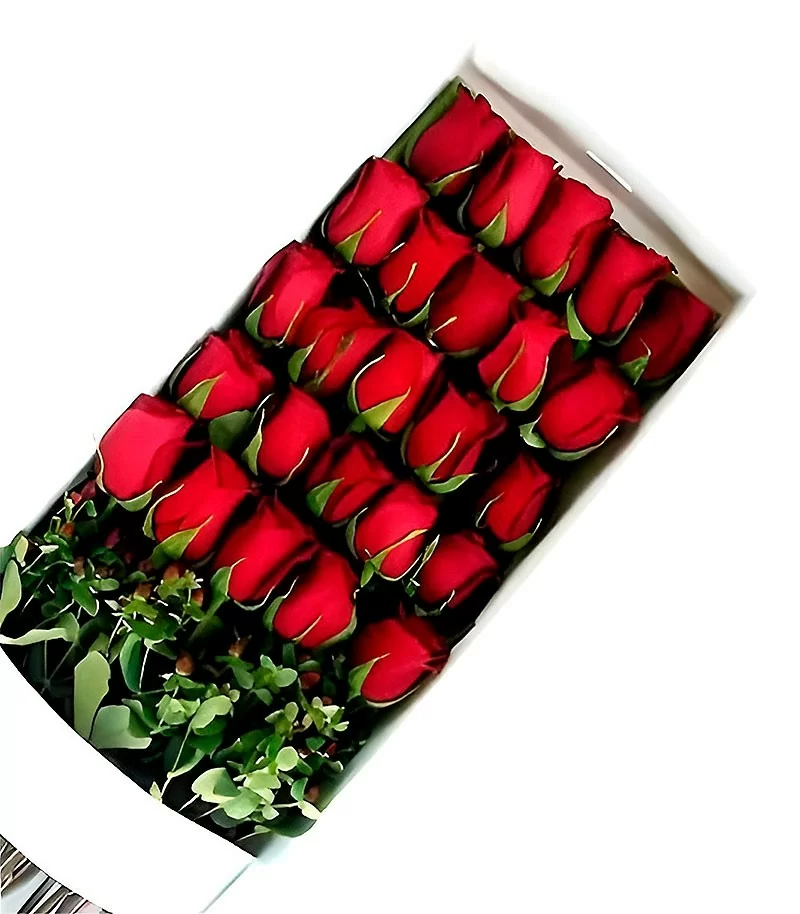 Caja 25 Rosas