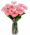 Florero con 10 Gerberas Rosadas