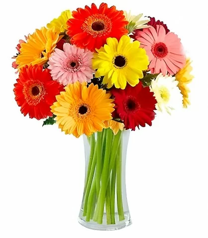 Florero de Vidrio 15 Gerberas Surtidas