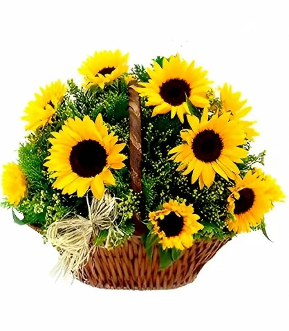 Canasta de 10 Girasoles