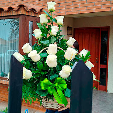 Entrega en Machalí
